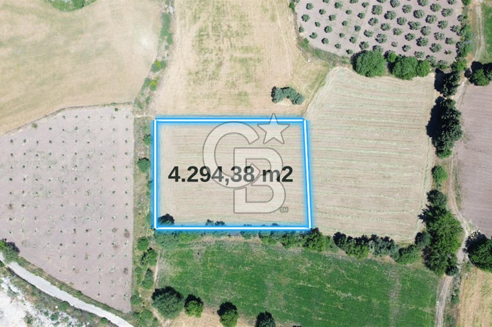 ALİAĞA GÜZELHİSARDA SATILIK 4294 M2 SATILIK MÜSTAKİL TARLA