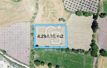 ALİAĞA GÜZELHİSARDA SATILIK 4294 M2 SATILIK MÜSTAKİL TARLA