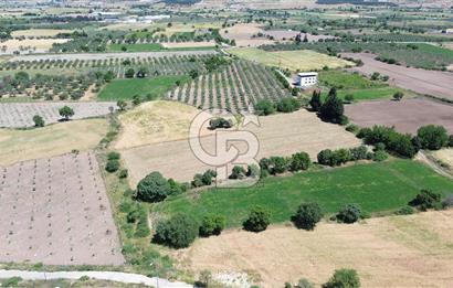ALİAĞA GÜZELHİSARDA SATILIK 4294 M2 SATILIK MÜSTAKİL TARLA