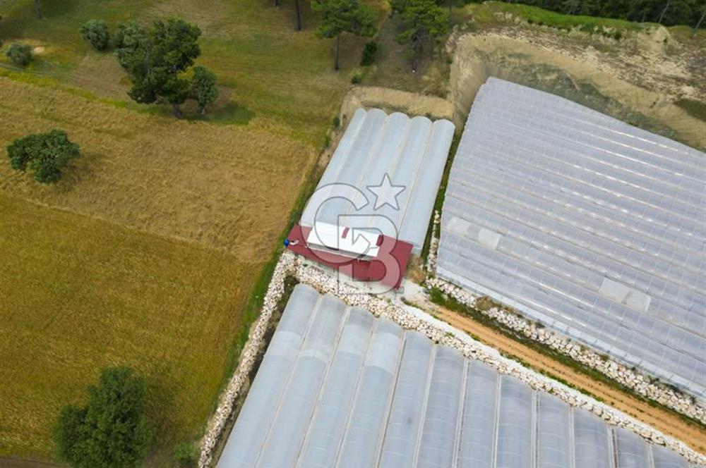 KAŞ DİRGENLER BÖLGESİNDE ÜRETİME HAZIR SATILIK SERA TESİSİ