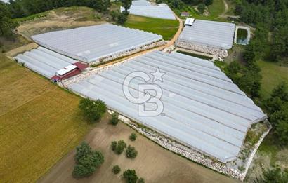 KAŞ DİRGENLER BÖLGESİNDE ÜRETİME HAZIR SATILIK SERA TESİSİ