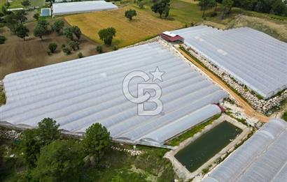 KAŞ DİRGENLER BÖLGESİNDE ÜRETİME HAZIR SATILIK SERA TESİSİ