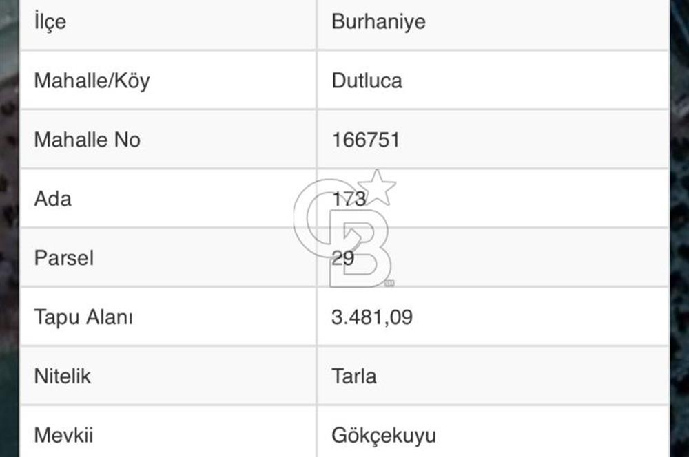 BURHANİYE DUTLUCA'DA KADASTRAL YOLLU YATIRIMLIK SATILIK TARLA 