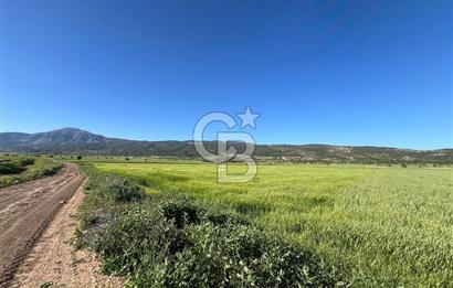 Serinhisar Cumhuriyet Mah.Ana Yola Yakın 5.509 m² Satılık Tarla