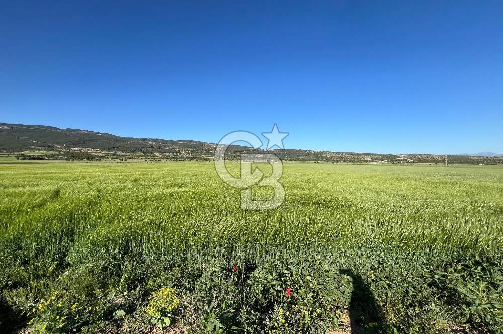 Serinhisar Cumhuriyet Mah.Ana Yola Yakın 5.509 m² Satılık Tarla
