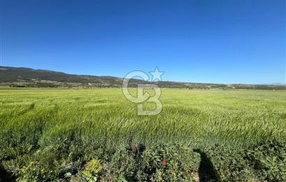 Serinhisar Cumhuriyet Mah.Ana Yola Yakın 5.509 m² Satılık Tarla