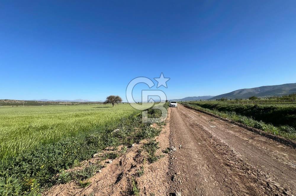 Serinhisar Cumhuriyet Mah.Ana Yola Yakın 5.509 m² Satılık Tarla
