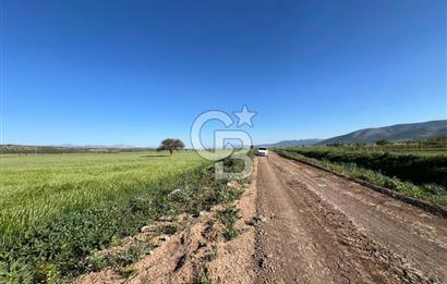 Serinhisar Cumhuriyet Mah.Ana Yola Yakın 5.509 m² Satılık Tarla