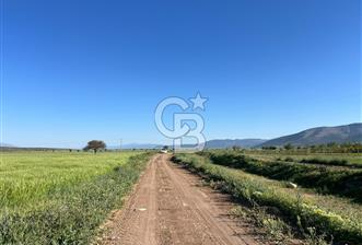 Serinhisar Cumhuriyet Mah.Ana Yola Yakın 5.509 m² Satılık Tarla