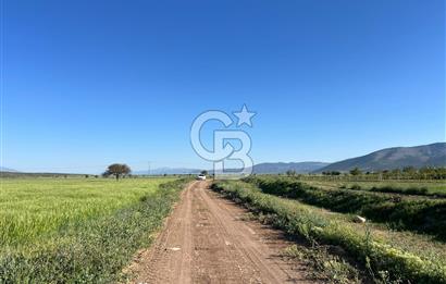 Serinhisar Cumhuriyet Mah.Ana Yola Yakın 5.509 m² Satılık Tarla