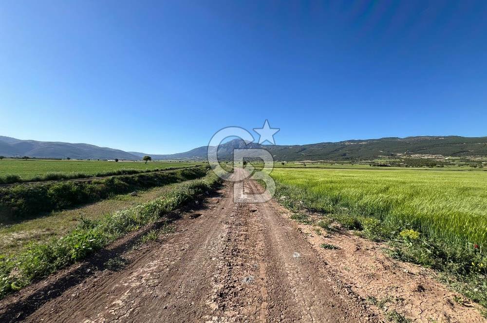 Serinhisar Cumhuriyet Mah.Ana Yola Yakın 5.509 m² Satılık Tarla