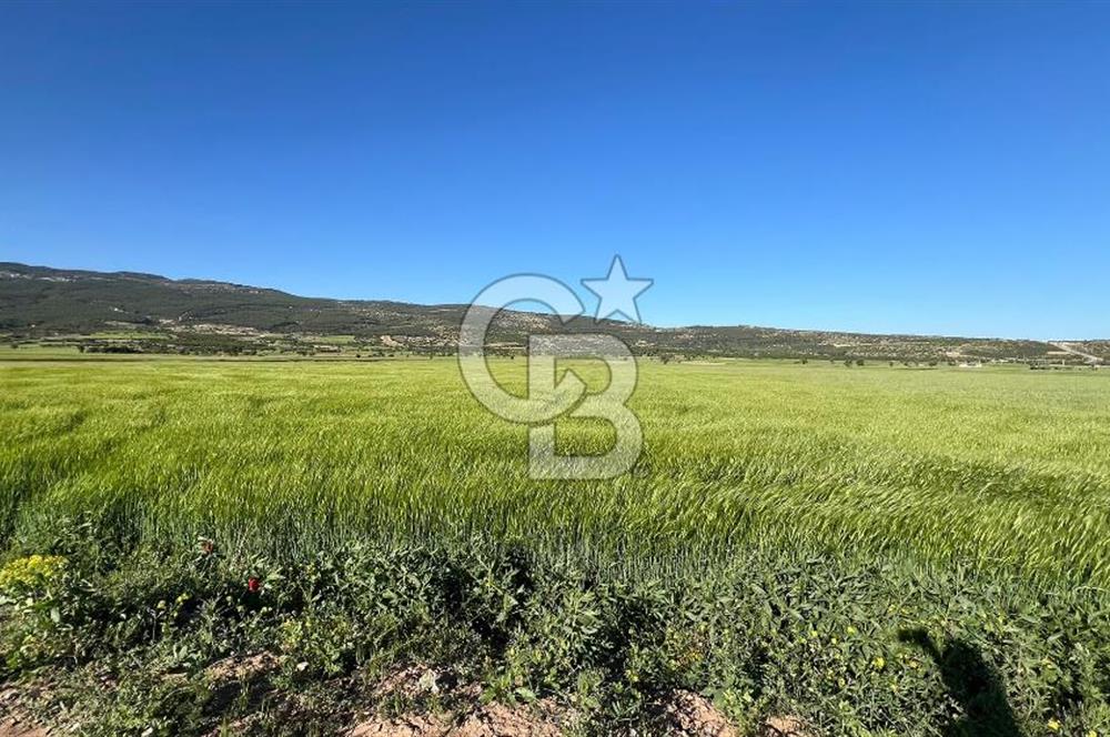 Serinhisar Cumhuriyet Mah.Ana Yola Yakın 7.606 m² Satılık Tarla