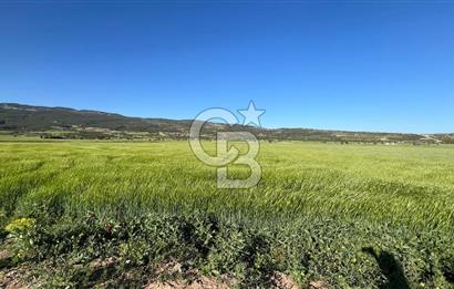 Serinhisar Cumhuriyet Mah.Ana Yola Yakın 7.606 m² Satılık Tarla