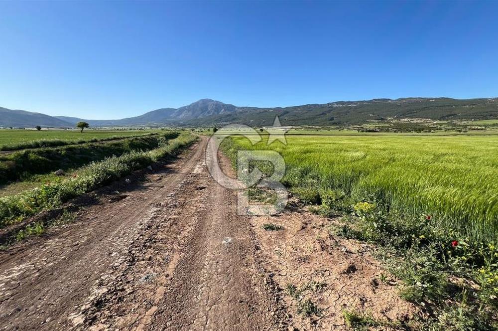 Serinhisar Cumhuriyet Mah.Ana Yola Yakın 7.606 m² Satılık Tarla