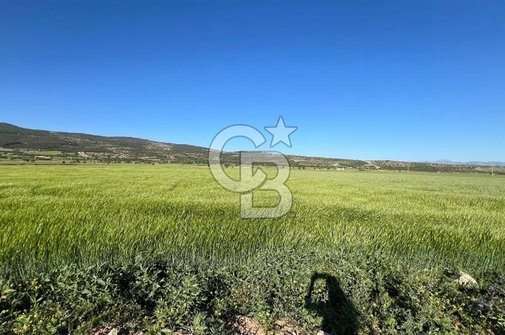Serinhisar Cumhuriyet Mah.Ana Yola Yakın 7.606 m² Satılık Tarla
