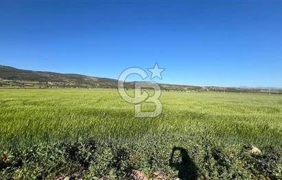 Serinhisar Cumhuriyet Mah.Ana Yola Yakın 7.606 m² Satılık Tarla