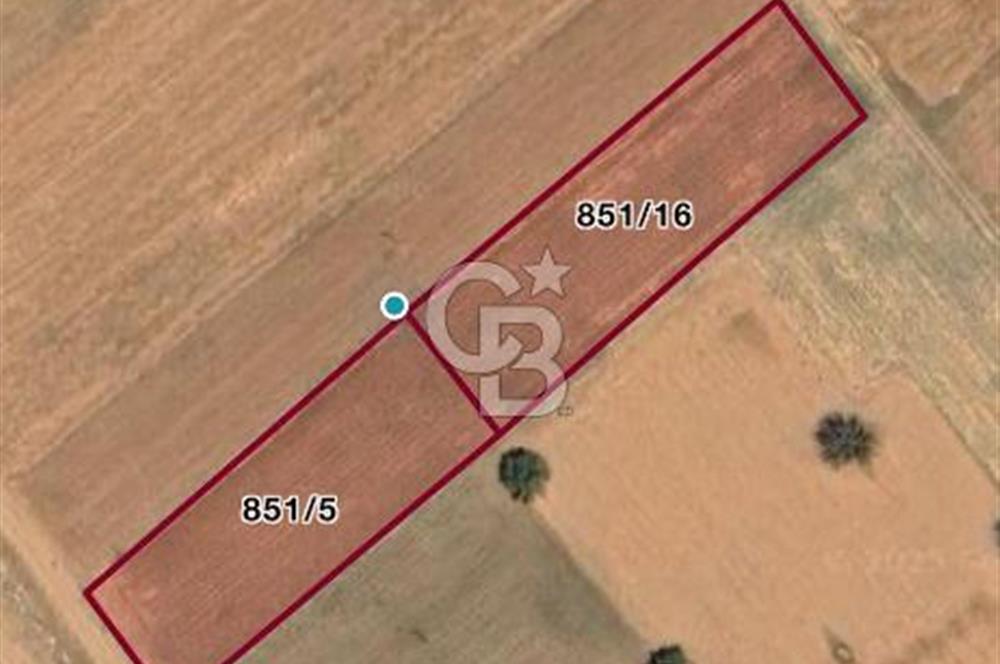 Serinhisar Cumhuriyet Mahallesinde 2.868 m² Satılık Tarla