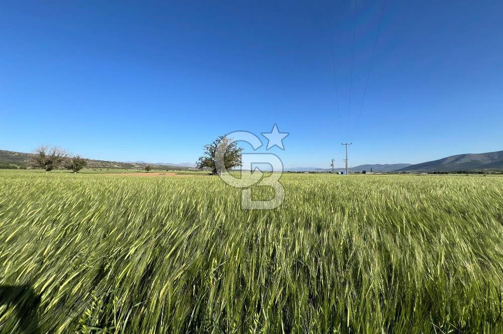 Serinhisar Cumhuriyet Mahallesinde 2.868 m² Satılık Tarla