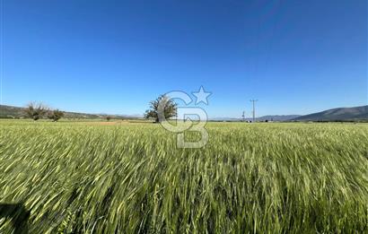 Serinhisar Cumhuriyet Mahallesinde 2.868 m² Satılık Tarla