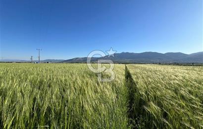 Serinhisar Cumhuriyet Mahallesinde 2.868 m² Satılık Tarla