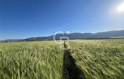 Serinhisar Cumhuriyet Mahallesinde 2.868 m² Satılık Tarla