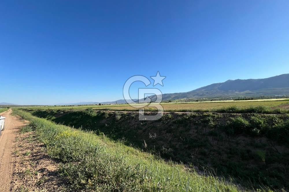 Serinhisar Cumhuriyet Mah.Ana Yola Yakın 2.521 m² Satılık Tarla