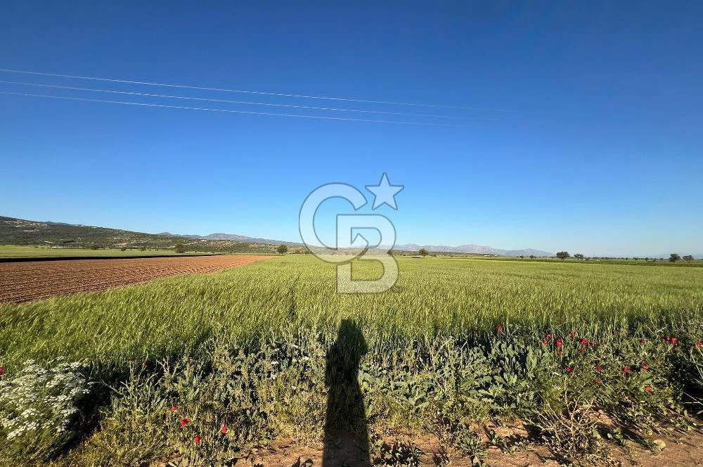 Serinhisar Cumhuriyet Mahallesinde 18.190 m² Satılık Tarla