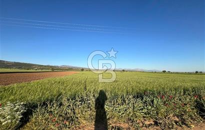 Serinhisar Cumhuriyet Mahallesinde 18.190 m² Satılık Tarla