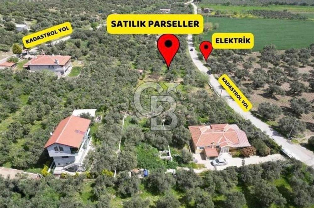 Foça Ilıpınar’da Hisse Tapulu Satılık Arazi
