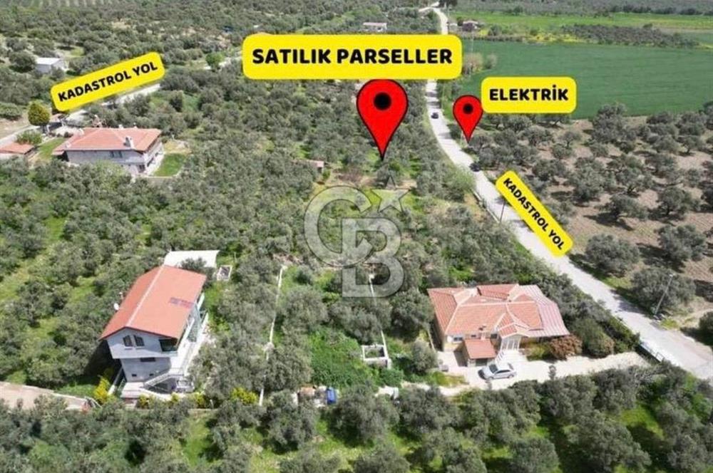 Foça Ilıpınar’da Hisse Tapulu Satılık Arazi