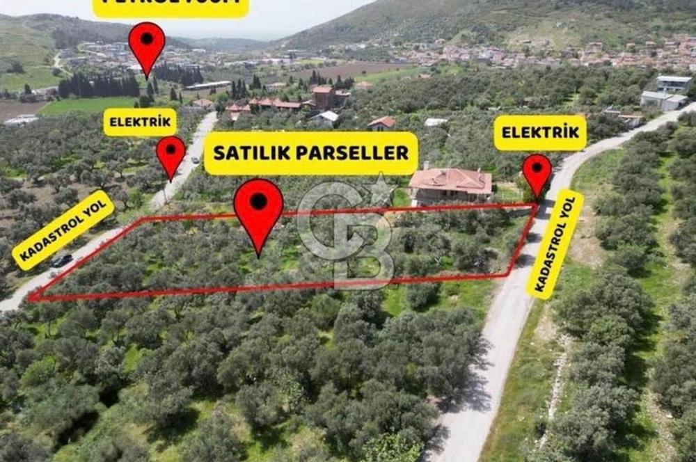 Foça Ilıpınar’da Hisse Tapulu Satılık Arazi