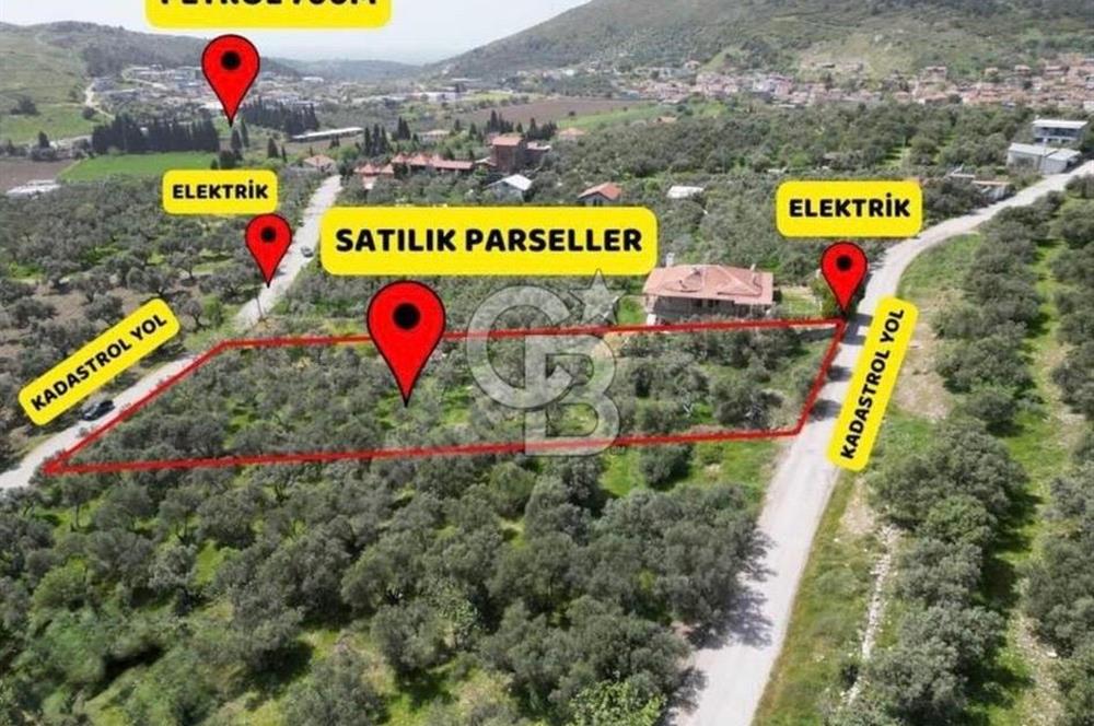 Foça Ilıpınar’da Hisse Tapulu Satılık Arazi