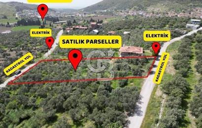 Foça Ilıpınar’da Hisse Tapulu Satılık Arazi
