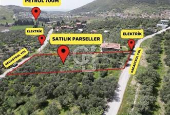 Foça Ilıpınar’da Hisse Tapulu Satılık Arazi