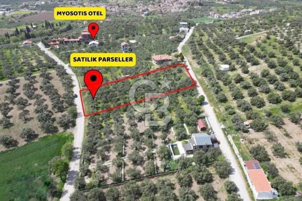 Foça Ilıpınar’da Hisse Tapulu Satılık Arazi
