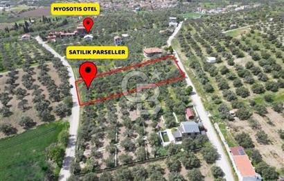 Foça Ilıpınar’da Hisse Tapulu Satılık Arazi