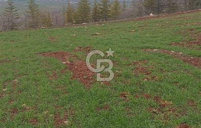 FELAHİYE SİLAHTAR MAHALLESİNDE YATIRIMLIK TARLA