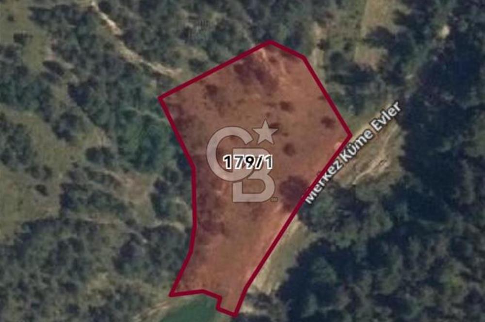 Kastamonu Merkez Yukarıkuyucak Mevkii ACİL Satılık Tarla 
