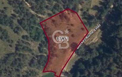 Kastamonu Merkez Yukarıkuyucak Mevkii ACİL Satılık Tarla 