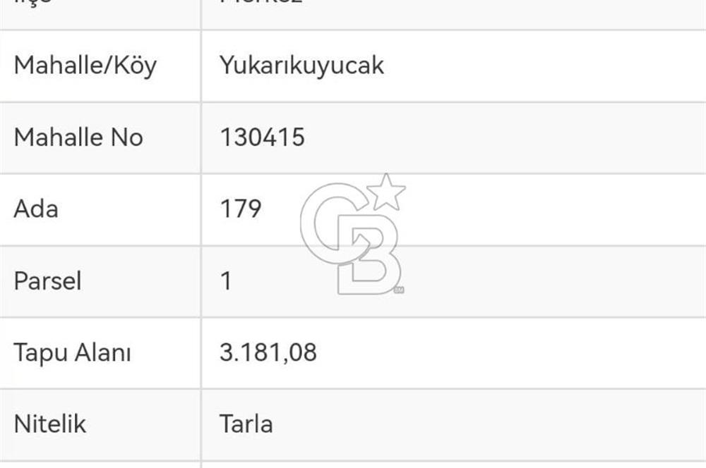 Kastamonu Merkez Yukarıkuyucak Mevkii ACİL Satılık Tarla 