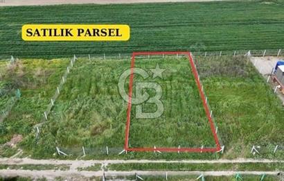 Menemen Türkelli’de Hisse Tapulu Satılık Arazi