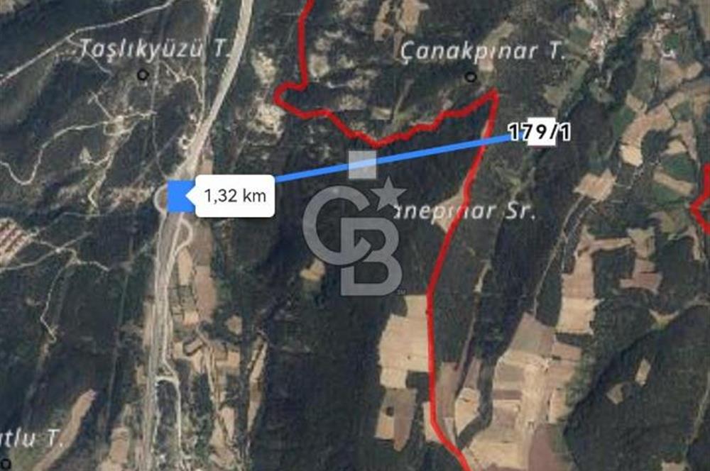 Kastamonu Merkez Yukarıkuyucak Mevkii ACİL Satılık Tarla 