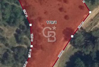 Kastamonu Merkez Yukarıkuyucak Mevkii ACİL Satılık Tarla 
