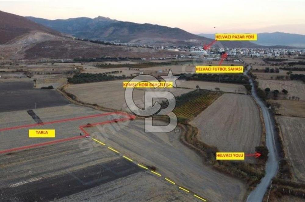Aliağa Bozköy’de Hisse Tapulu Satılık Arazi