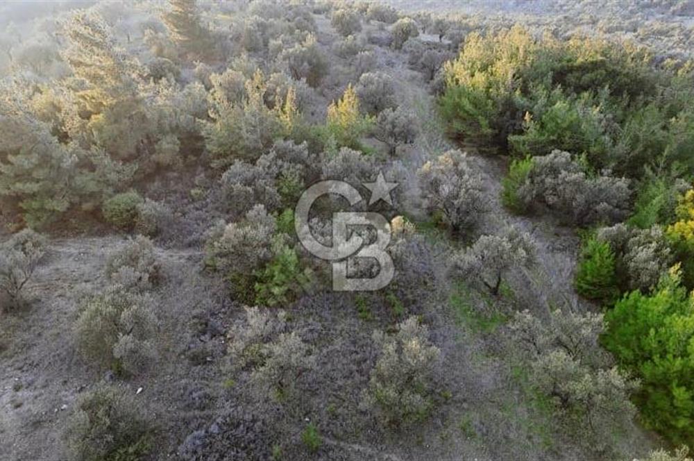 Aliağa Bozköy’de Hisse Tapulu Satılık Arazi