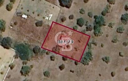 MUĞLA DATÇA KIZLAN 667 m2 TARLA SATILIK