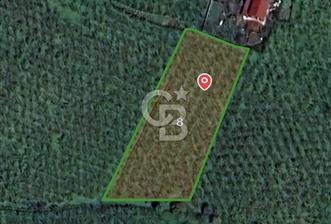 SAKARYA ERENLER EKİNLİ KÖYÜNDE 2600 M2 SATILIK TARLA