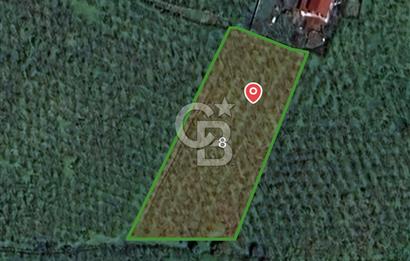 SAKARYA ERENLER EKİNLİ KÖYÜNDE 2600 M2 SATILIK TARLA