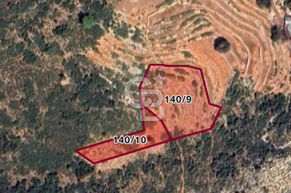 Seydikemer Boğaziçi Yediburunlar’da Deniz Manzaralı, Likya Yolu Yakını 871 m² Tarla!