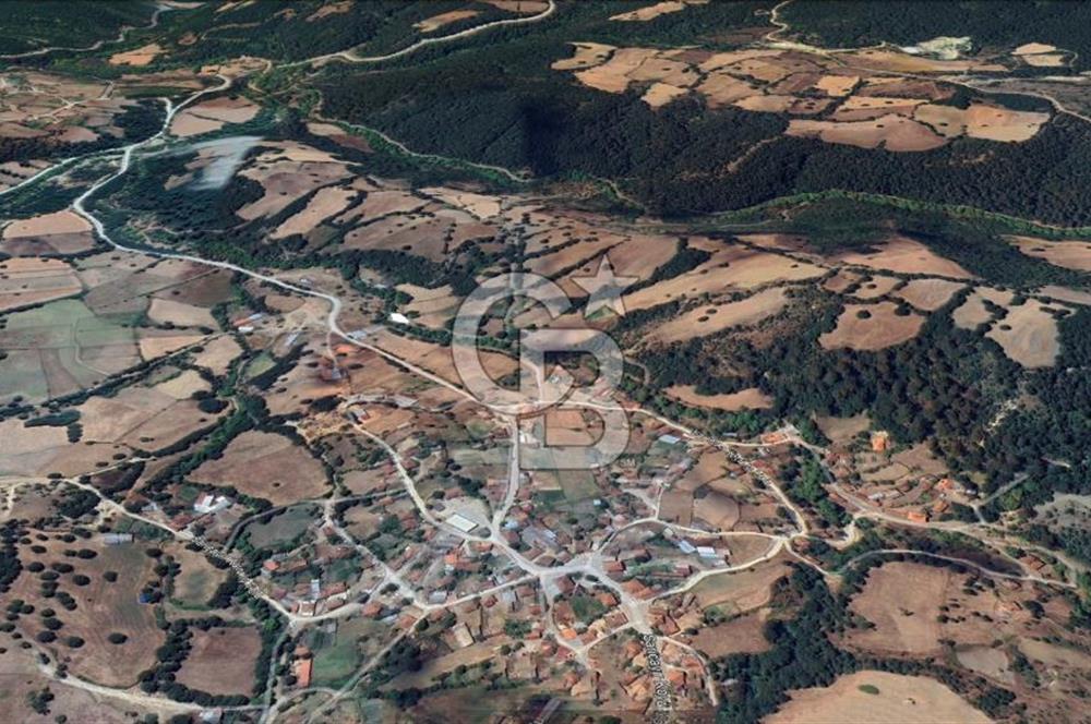ÇANAKKALE YENİCE SARIÇAYIR 381 M2 BAHÇE